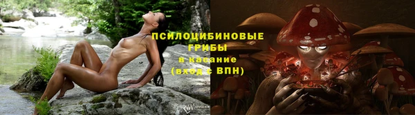 прущие грибы Нея