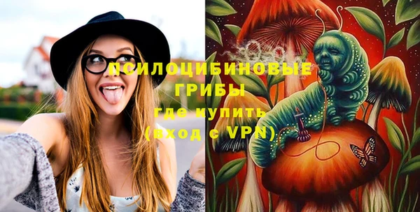 ALPHA PVP Новозыбков