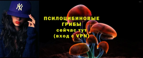 прущие грибы Нея