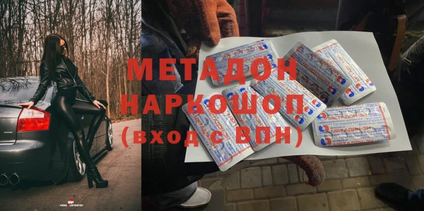 прущие грибы Нея