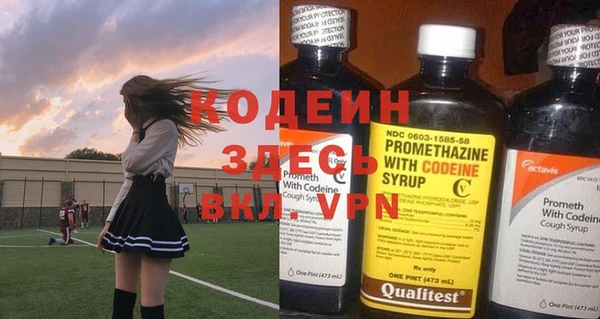 прущие грибы Нея