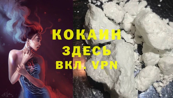 ALPHA PVP Новозыбков