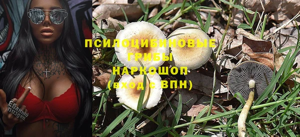твердый Новокубанск
